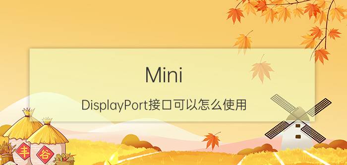 Mini DisplayPort接口可以怎么使用